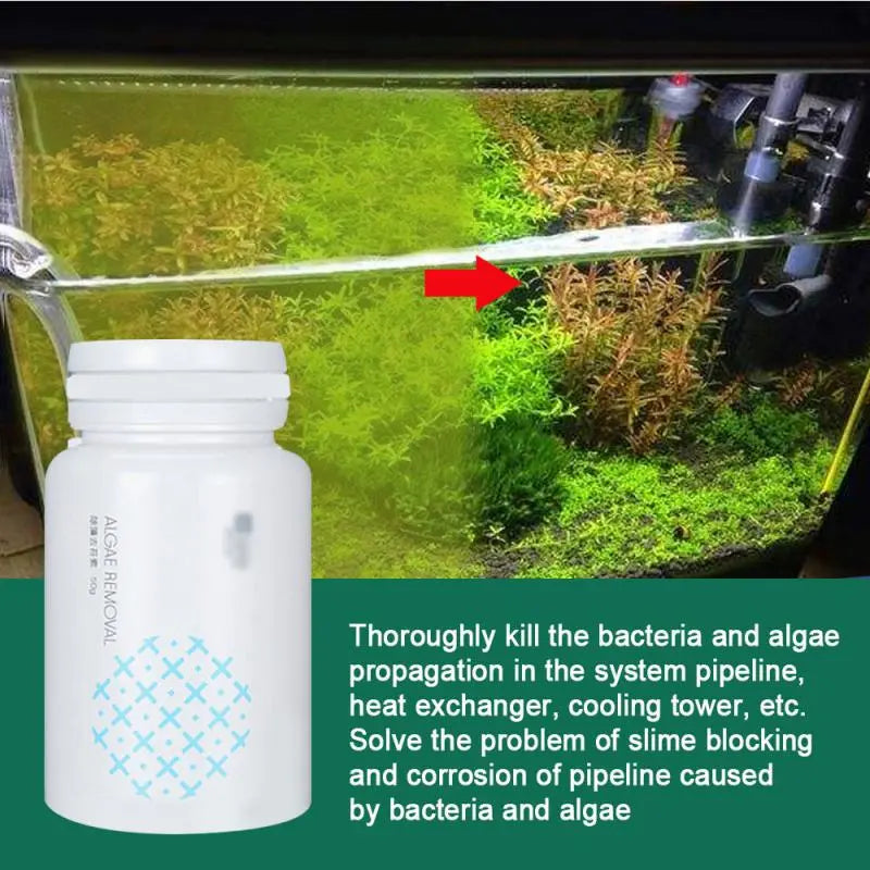 Italian Brand Fish Tank Moss and Algae Remover Agent Aquarium Potion - GimmeWarehouse