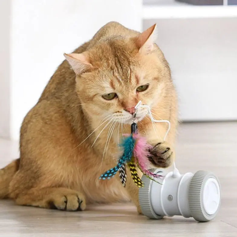 RoboRoller - Smart Runaway Cat Toy - GimmeWarehouse