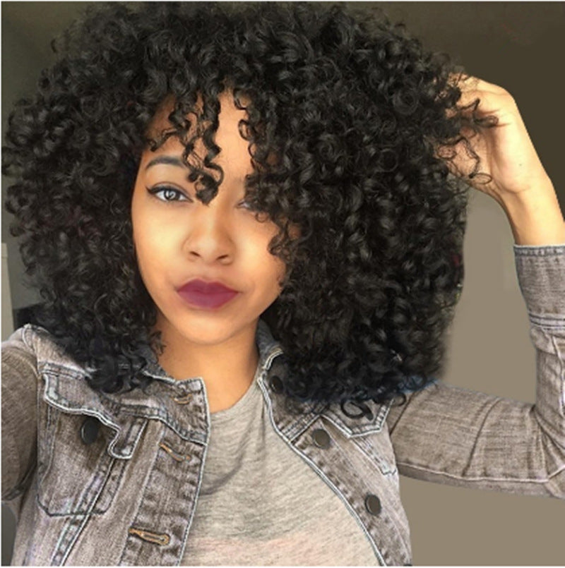 African Short Curly Hair Female Wigs - GimmeWarehouse