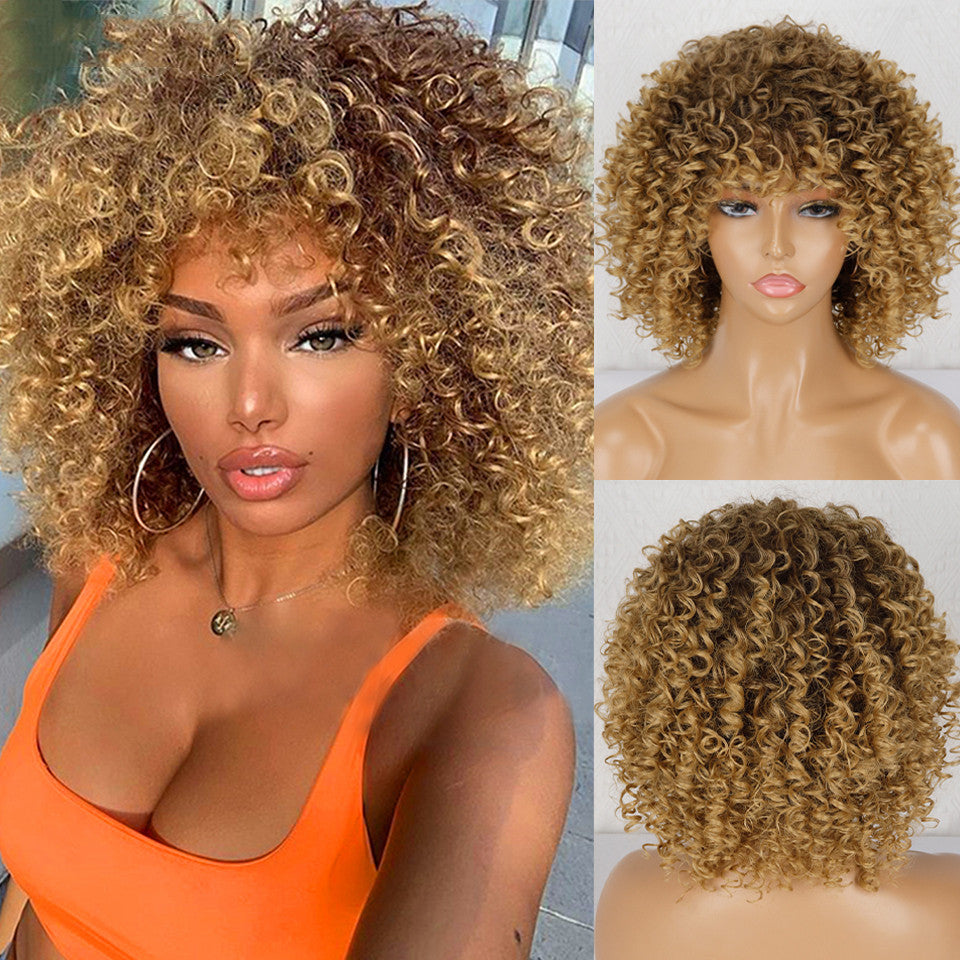 Synthetic Afro Curly Wig African Wigs For Black Women - GimmeWarehouse