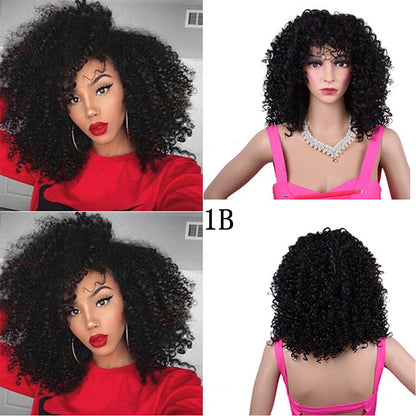 Synthetic Afro Curly Wig African Wigs For Black Women - GimmeWarehouse