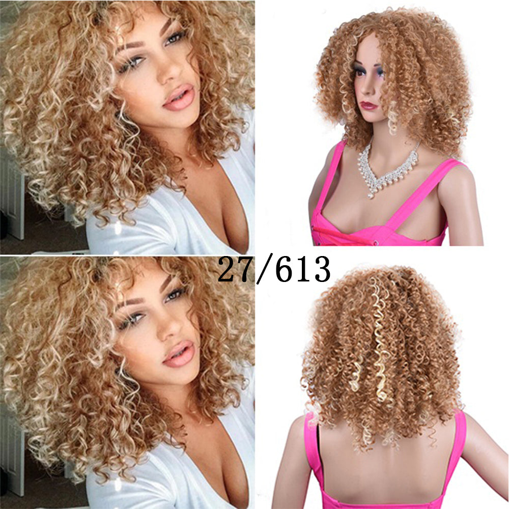 Synthetic Afro Curly Wig African Wigs For Black Women - GimmeWarehouse