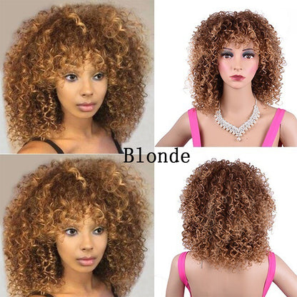 Synthetic Afro Curly Wig African Wigs For Black Women - GimmeWarehouse