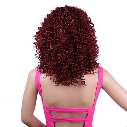 Synthetic Afro Curly Wig African Wigs For Black Women - GimmeWarehouse