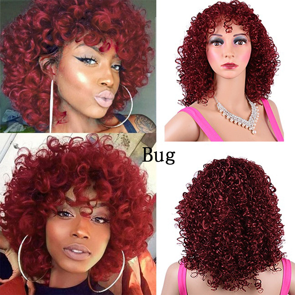 Synthetic Afro Curly Wig African Wigs For Black Women - GimmeWarehouse